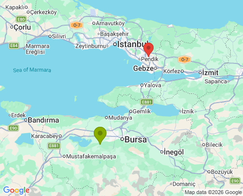 Bursa İstanbul arası ofis taşıma