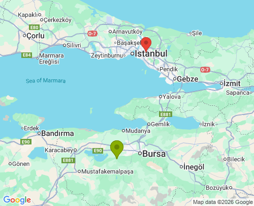 Bursa İstanbul arası evden eve nakliyat