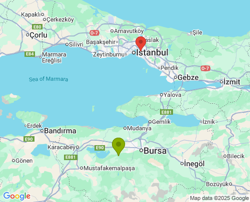 Bursa İstanbul arası evden eve nakliyat