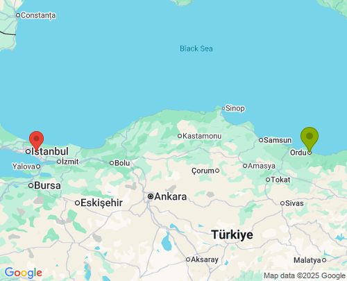 Ordu İstanbul arası evden eve nakliyat