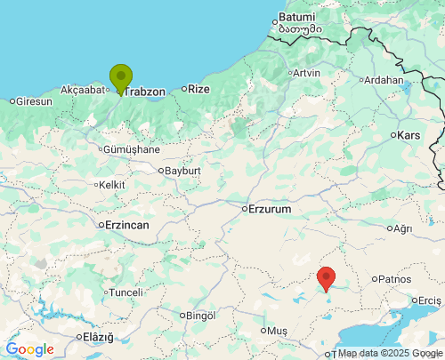 Trabzon Muş arası evden eve nakliyat