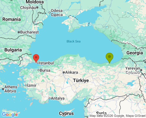 Trabzon İstanbul arası evden eve nakliyat