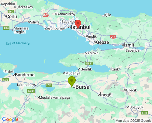 Bursa İstanbul arası evden eve nakliyat