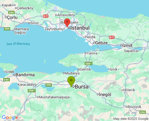 Bursa İstanbul arası evden eve nakliyat