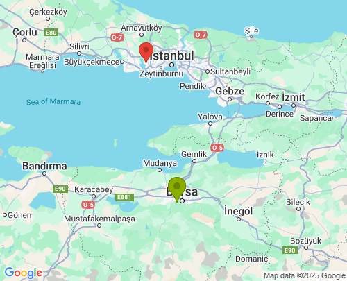 Bursa İstanbul arası evden eve nakliyat