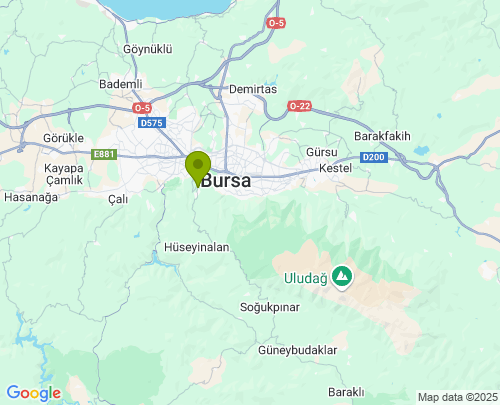 Osmangazi içi evden eve nakliyat