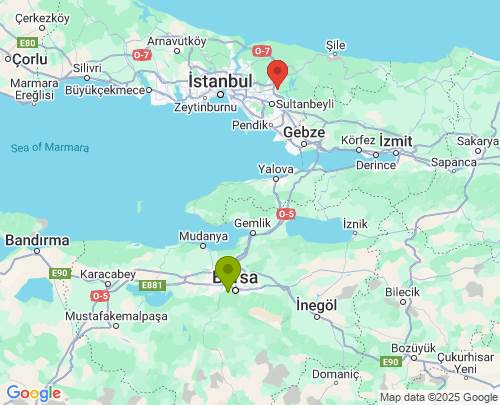 Bursa İstanbul arası evden eve nakliyat