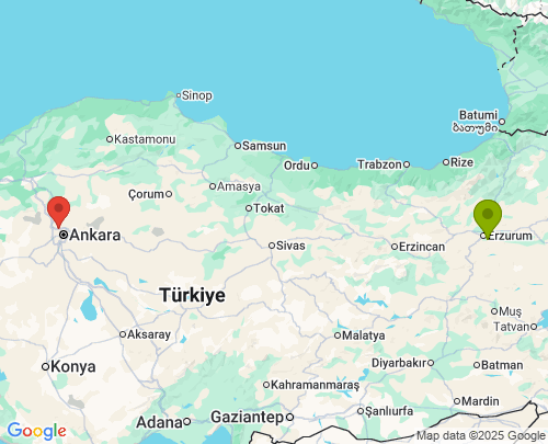 Erzurum Ankara arası evden eve nakliyat