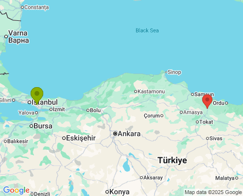 İstanbul Ordu arası evden eve nakliyat