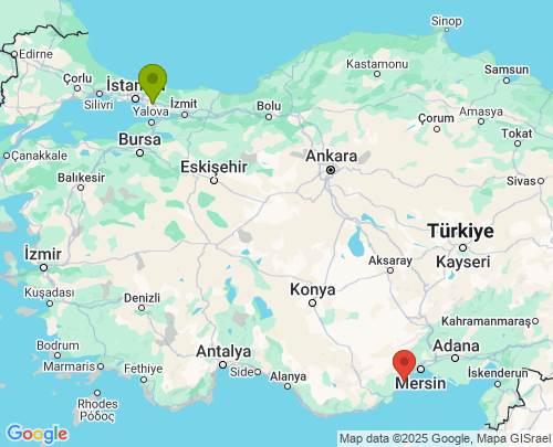 İstanbul Mersin arası evden eve nakliyat