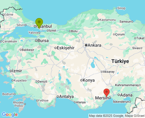 İstanbul Mersin arası evden eve nakliyat