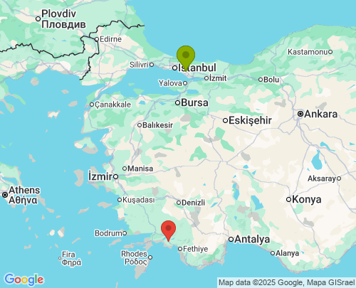 Pendik İstanbul Ortaca Muğla arası evden eve nakliyat