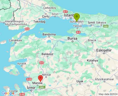 İstanbul Manisa arası evden eve nakliyat