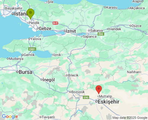 Pendik İstanbul Tepebaşı Eskişehir arası evden eve nakliyat