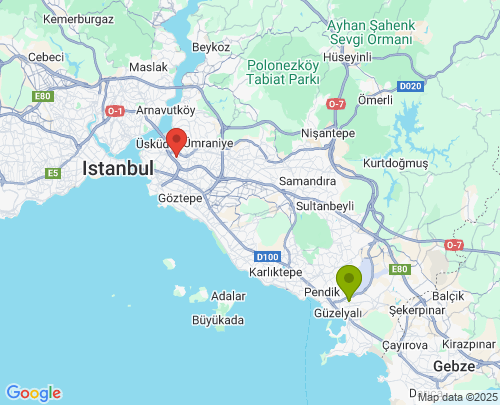 Pendik İstanbul Üsküdar İstanbul arası evden eve nakliyat