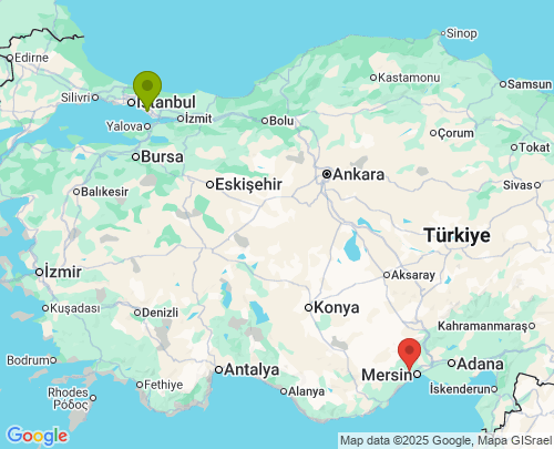 İstanbul Mersin arası evden eve nakliyat