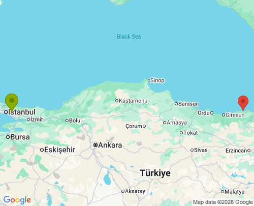 İstanbul Trabzon arası evden eve nakliyat