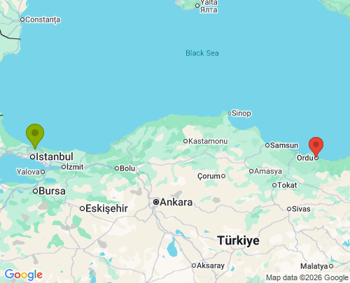 İstanbul Ordu arası evden eve nakliyat