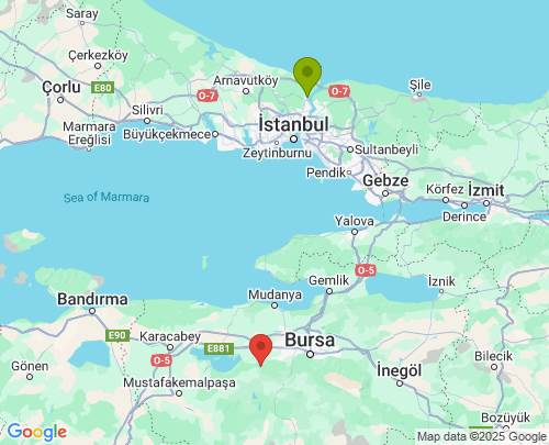 İstanbul Bursa arası evden eve nakliyat