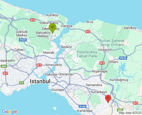 Sarıyer Pendik arası evden eve nakliyat