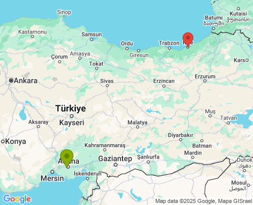 Adana Rize arası evden eve nakliyat