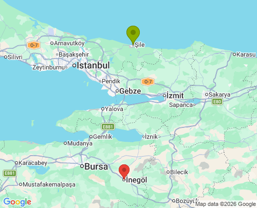 İstanbul Bursa arası evden eve nakliyat