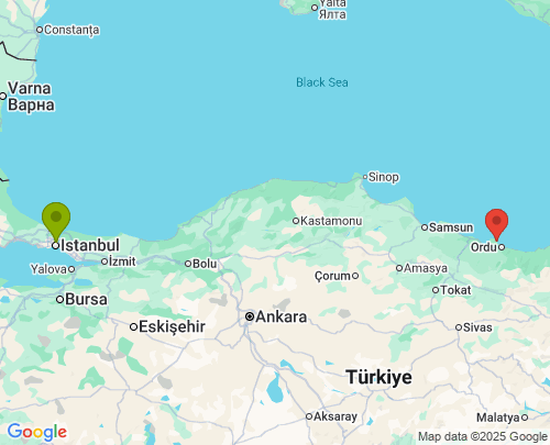 İstanbul Ordu arası evden eve nakliyat