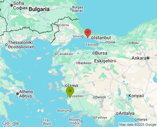 Aydın İstanbul arası evden eve nakliyat