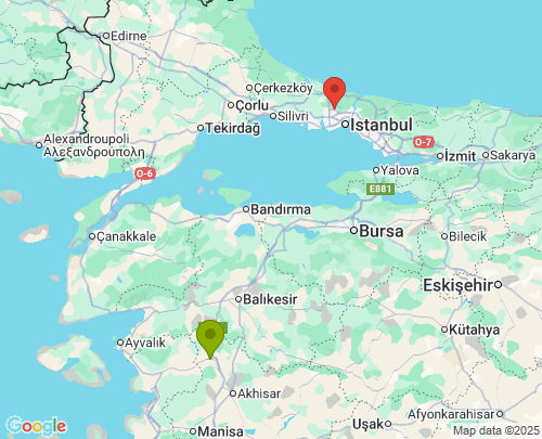 Manisa İstanbul arası evden eve nakliyat