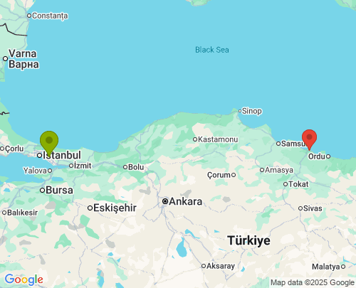 İstanbul Ordu arası evden eve nakliyat