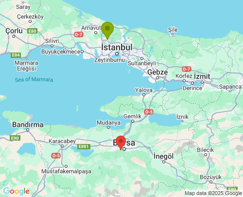 İstanbul Bursa arası evden eve nakliyat