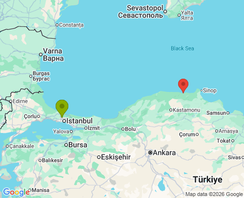 İstanbul Sinop arası evden eve nakliyat