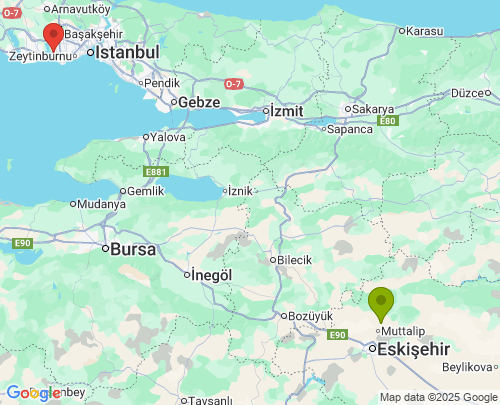 Eskişehir İstanbul arası evden eve nakliyat
