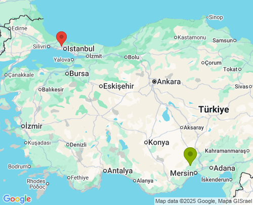 Mersin İstanbul arası evden eve nakliyat