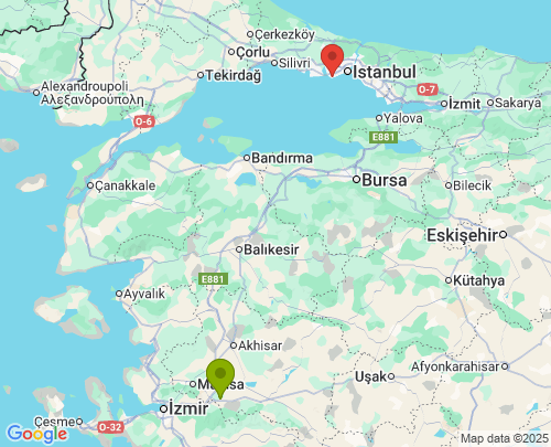 Manisa İstanbul arası evden eve nakliyat
