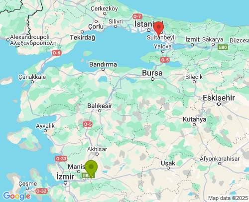Turgutlu Manisa Kartal İstanbul arası evden eve nakliyat