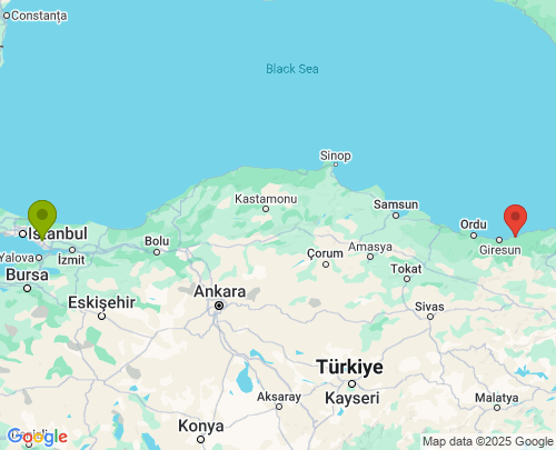 İstanbul Giresun arası evden eve nakliyat