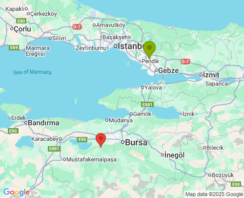 İstanbul Bursa arası evden eve nakliyat