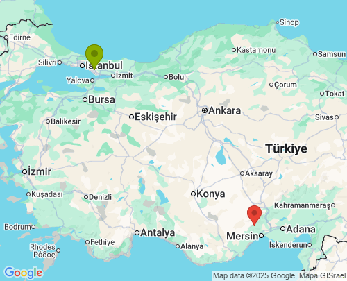 Tuzla İstanbul Toroslar Mersin arası evden eve nakliyat