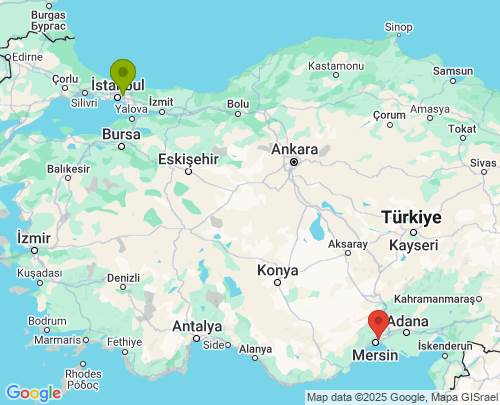 İstanbul Mersin arası evden eve nakliyat