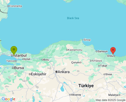İstanbul Ordu arası parça eşya taşıma