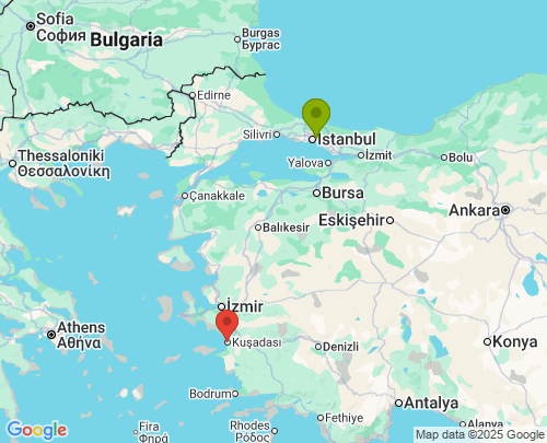 İstanbul Aydın arası evden eve nakliyat