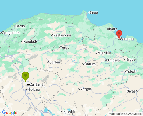 Ankara Samsun arası evden eve nakliyat