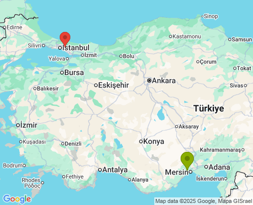 Mersin İstanbul arası evden eve nakliyat