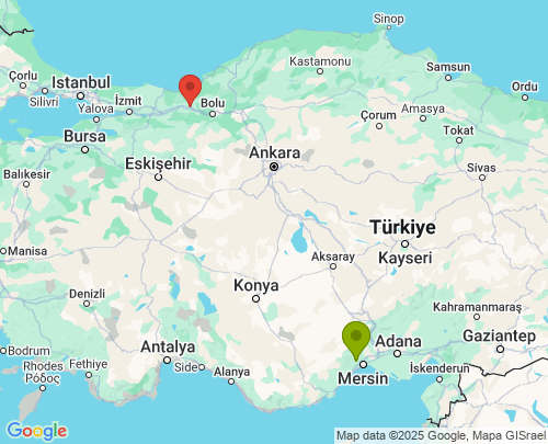 Mersin Düzce arası evden eve nakliyat