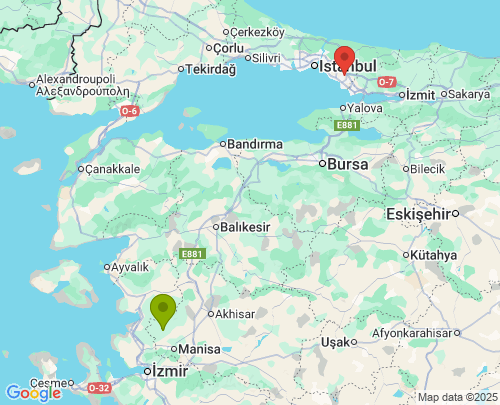 Yunusemre Manisa Pendik İstanbul arası evden eve nakliyat