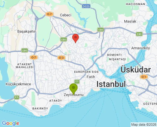 Zeytinburnu Gaziosmanpaşa arası evden eve nakliyat