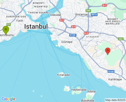 Zeytinburnu Maltepe arası evden eve nakliyat
